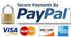 secure_paypal_paymeny-300x158
