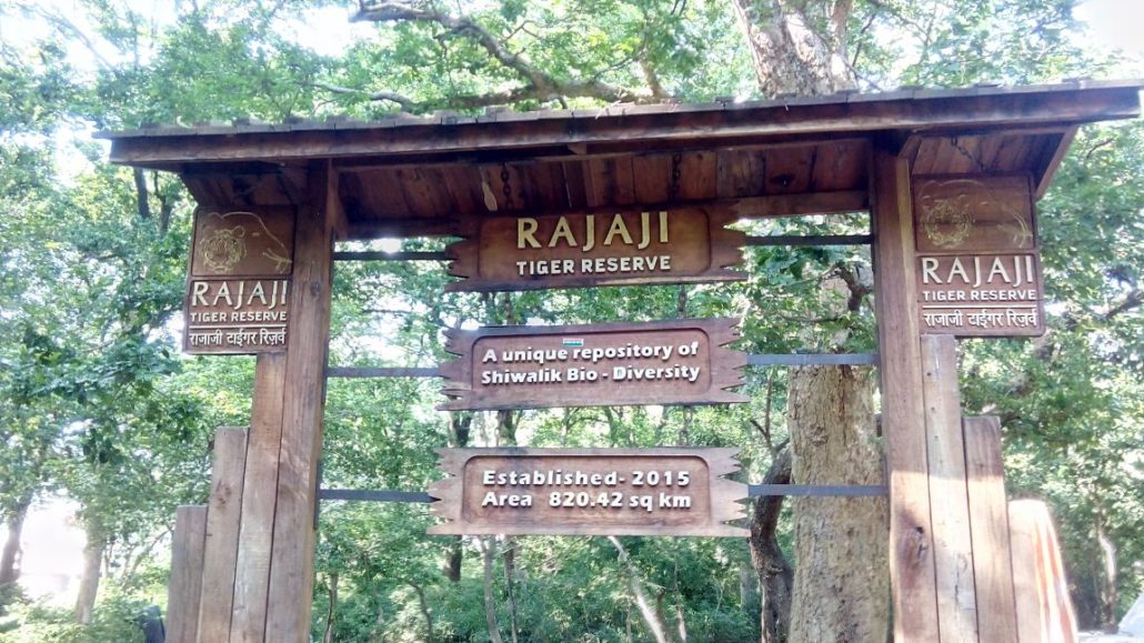 Rajaji National Park & Tiger Reserve, Rishikesh Neaxt to swarag ashram